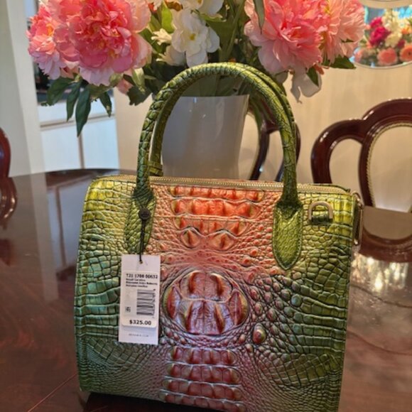 BRAHMIN Small Caroline Watermelon Ombre Melbourne NWT - Picture 1 of 12